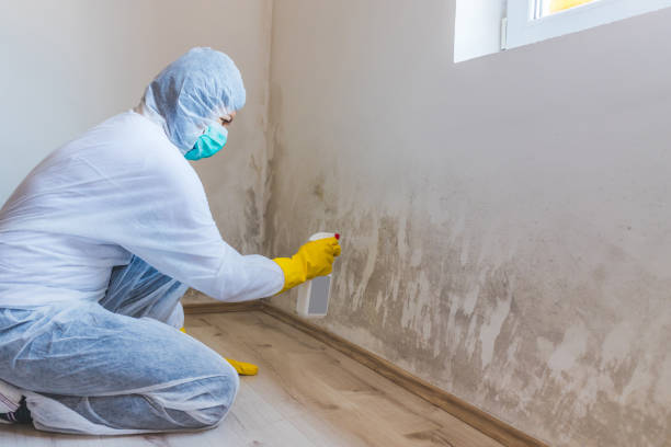 Licensed Commercial Mold Remediation service in Round Rock, TX - 24 Hour Mold Removal