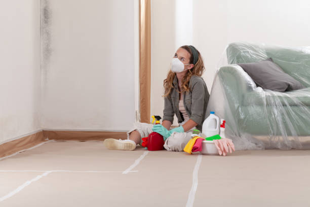 Reliable Commercial Mold Remediation contractor in Round Rock, TX by 24 Hour Mold Removal